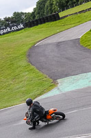 Lower Group Orange Bikes